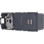 CELIANE GNIAZDO ZESPOLONE 2P+Z + 2XUSB (067106)