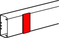 010801.jpg