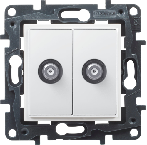 NILOE-STEP-TV-F-F.png