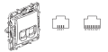 rj11+rj45.png